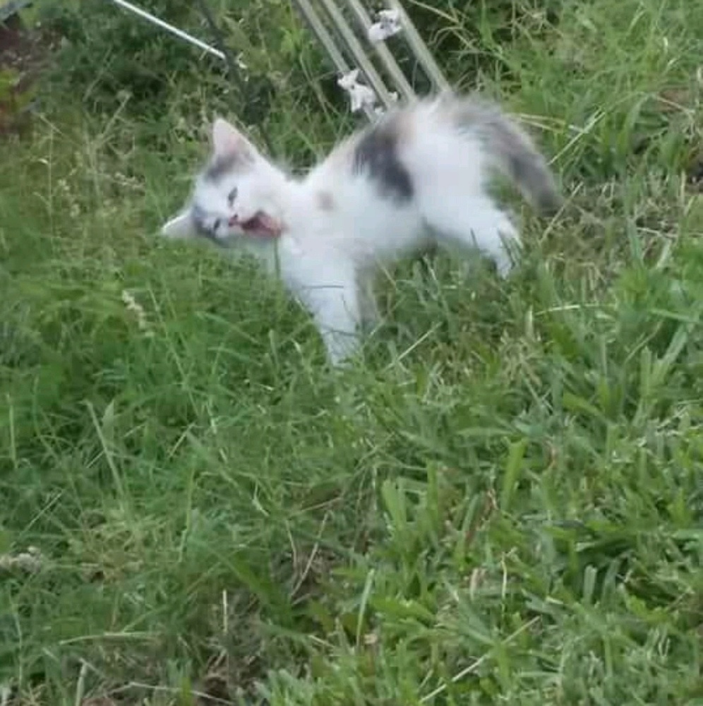 Meet your Posher, Markus